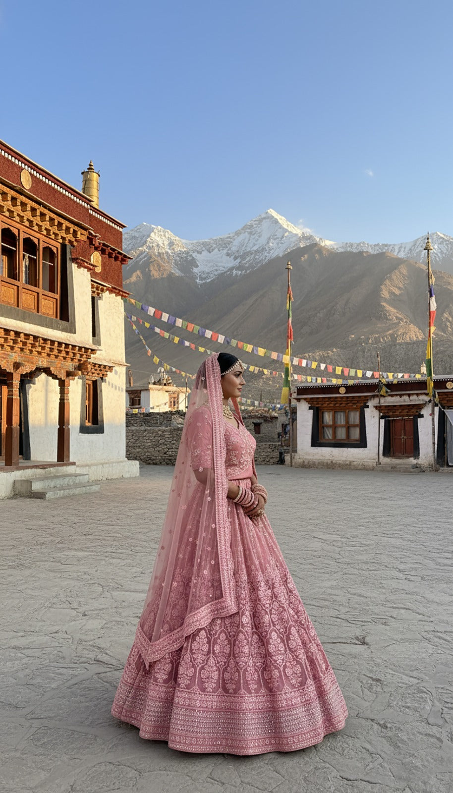 Butterfly Net Designer Lehenga Choli Collection